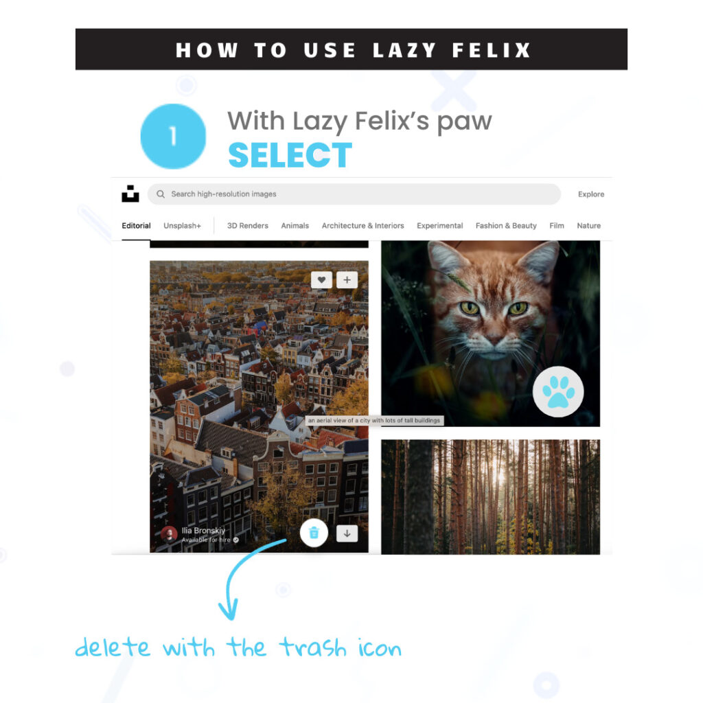Spot something useful? Click the Lazy Felix icon to select and save your web finds – images, or videos – in a snap. No more cluttered downloads or bookmarks.