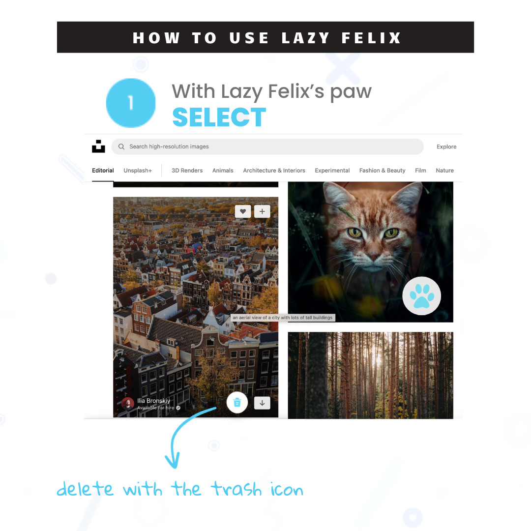 Spot something useful? Click the Lazy Felix icon to select and save your web finds – images, or videos – in a snap. No more cluttered downloads or bookmarks.